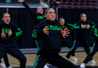 Eagle Hip Hop 002