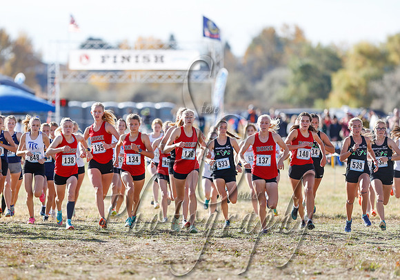5A Girls Steve 179