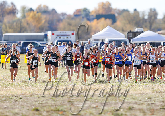 5A Girls Steve 171