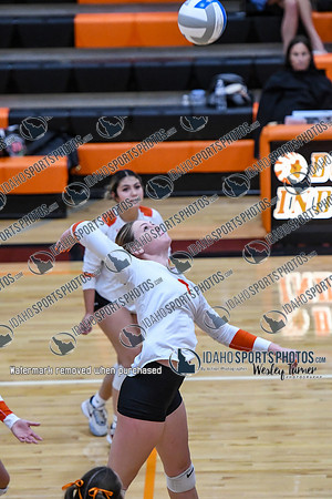 006 FILER VS BUHL 1-11