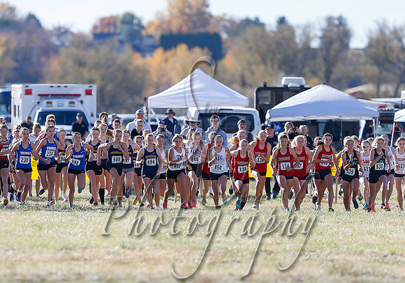 5A Girls Steve 166