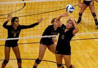 YAVAPAI vs CSI 019