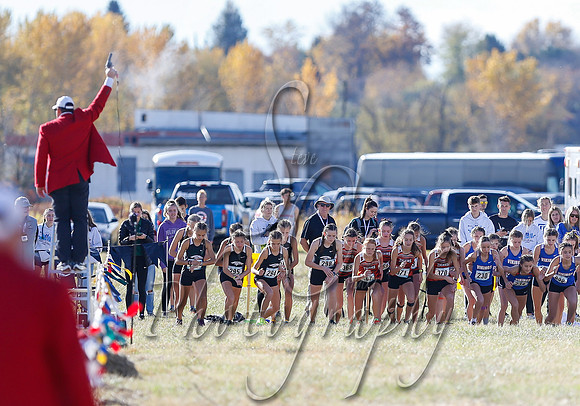 5A Girls Steve 164