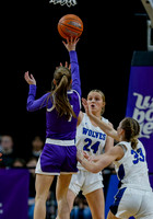 Rocky Mountain vs. Timberline 022