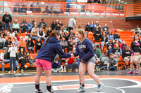 006 Girls wrestling Districts finals and awards 1-7