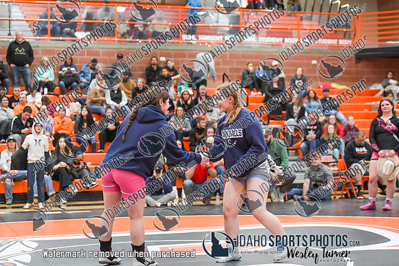 006 Girls wrestling Districts finals and awards 1-7