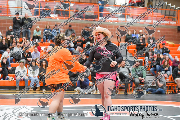 006 Girls wrestling Districts finals and awards 1-14