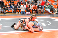006 Girls wrestling Districts finals and awards 1-19