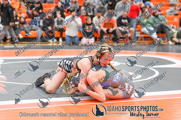 006 Girls wrestling Districts finals and awards 1-19