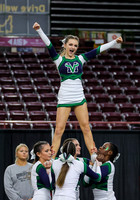5A State Cheer Championships - Mountain View 023