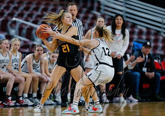 Bishop Kelly vs. Shelley 007