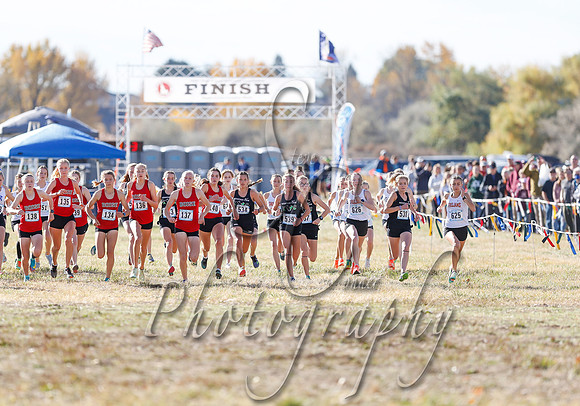 5A Girls Steve 173