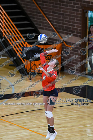 006 FILER VS BUHL 1-19