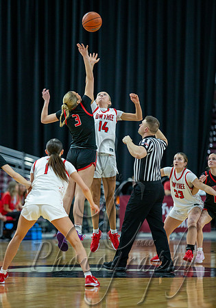 014 02222025 6A Girls State Championship Basketball Boise v Owyhee 003