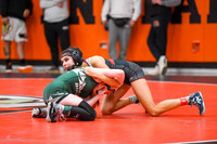 006 Girls wrestling Districts first rounds 1-12