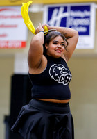 02092025 Cheer and Dance Showcase   021