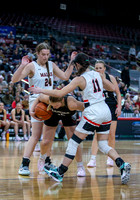 014 02222025 3A Girls State Basketball Parma v Malad 009