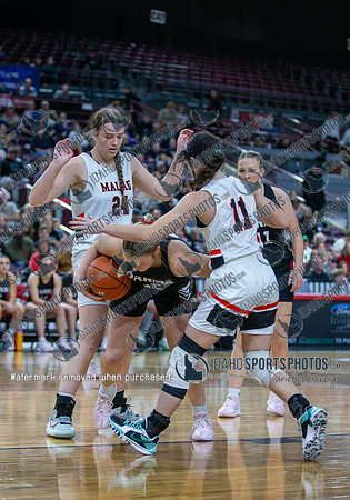 014 02222025 3A Girls State Basketball Parma v Malad 009