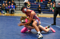 006 Willy Dobbs Wrestling Sat. finals 1-19