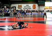 2019 Various State Wrestling  010