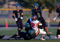 Owyhee vs. Eagle 005