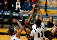 Whatcom vs CSI 015