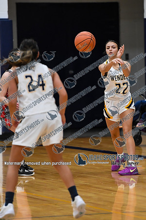 006 Shoshone vs Wendell 1-17