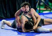 2019 State Wrestling Day 2 010