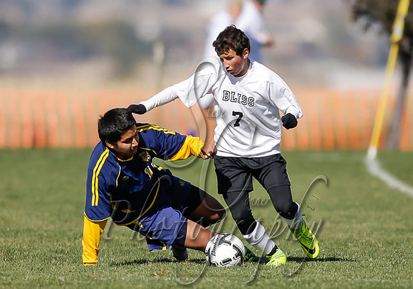 Wendell vs Bliss 009