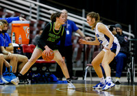 Borah v Timberline 009