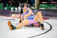 006 State Wrestling friday morning Girls 1 -11