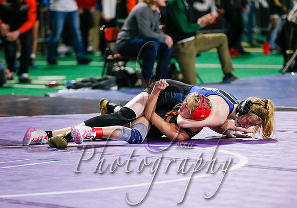 State Wrestling Action Day 2 013