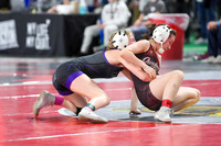 006 State Wrestling friday Evening girls 1_-2