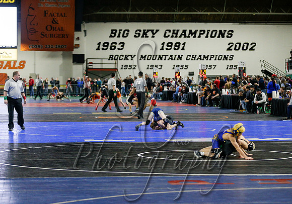 2019 Various State Wrestling  004