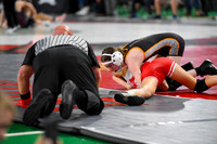006 State Wrestling friday morning girls 1_-8