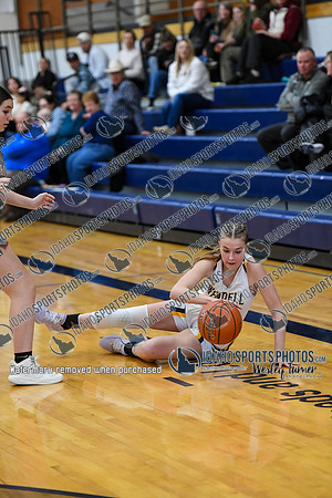 006 Shoshone vs Wendell 1-3