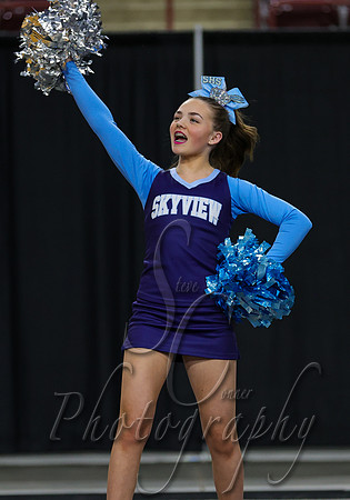 4A State Cheer Championships - Skyview 004