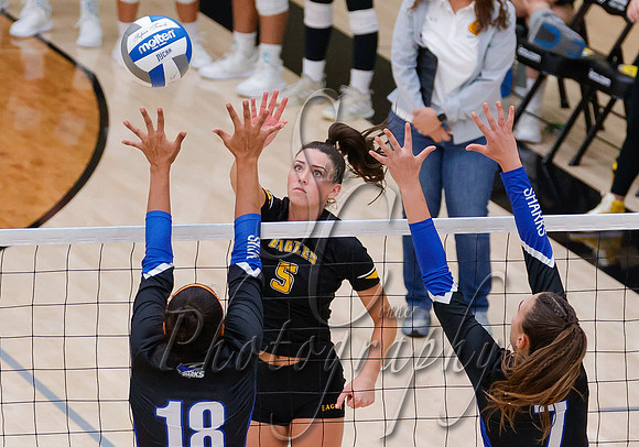 09072024 Miami Dade vs. CSI VB  019