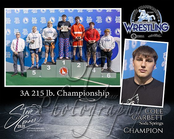 3A Wrestling Memory Mate Cole Garbett 215 Champion