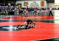 2019 Various State Wrestling  011