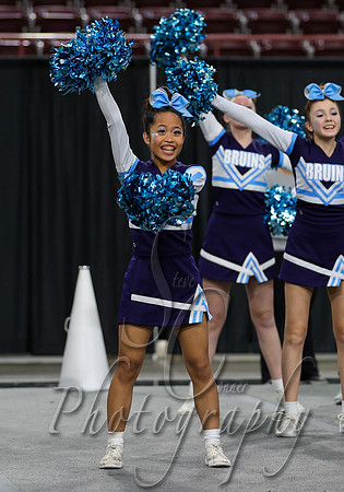 4A State Cheer Championships - Twin Falls 002