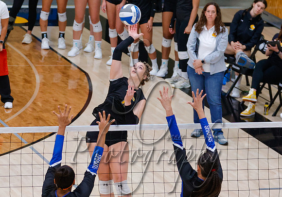 09072024 Miami Dade vs. CSI VB  008
