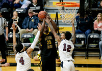 Whatcom vs CSI 011