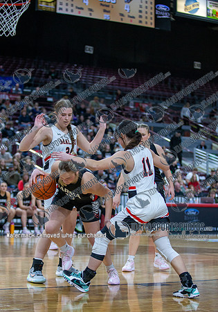 014 02222025 3A Girls State Basketball Parma v Malad 010
