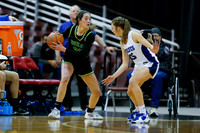 Borah v Timberline 006