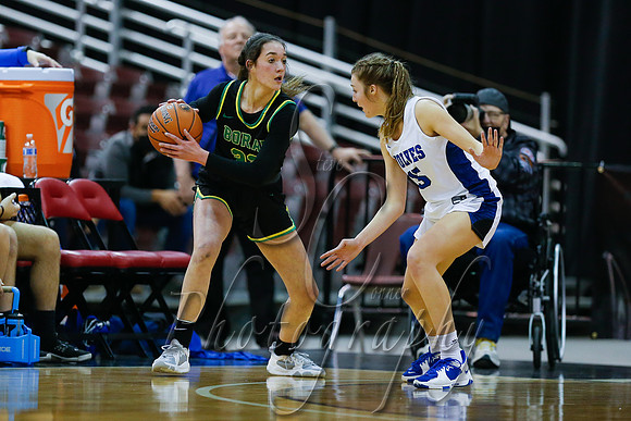 Borah v Timberline 006