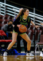 Borah v Timberline 004