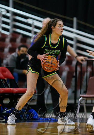 Borah v Timberline 004