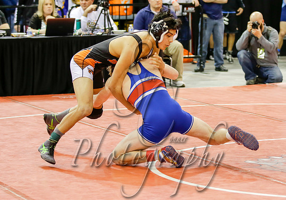 State Wrestling Day 1 020