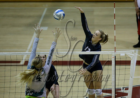 Skyview vs Burley 009
